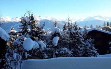 Wohnung 2 Zimmer - image - 11