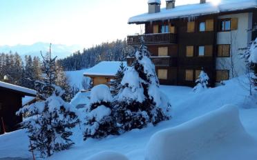 Wohnung 2 Zimmer - image - 8