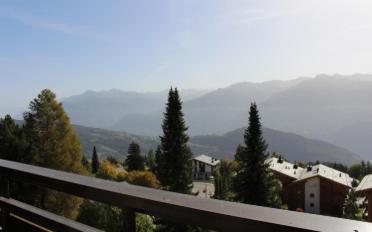 Wohnung 2 Zimmer - image - 9