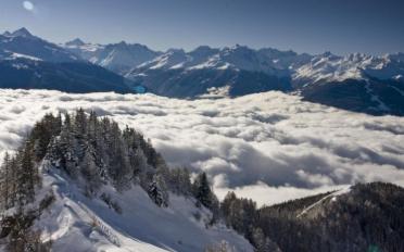 Wohnung 2 Zimmer - image - 13