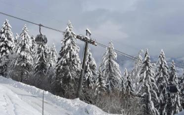 Apartment 3.5 rooms - image - 8