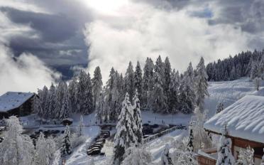 Apartment 3.5 rooms - image - 9