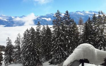 Apartment 3 rooms - image - 13