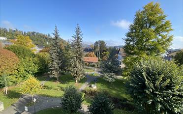 Appartement - image - 15