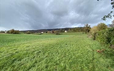 Building land - image - 1