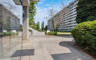 Schaufenster 2.5 Zimmer - image - 3