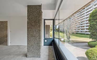 Schaufenster 2.5 Zimmer - image - 9