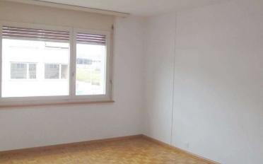 Wohnung 3.5 Zimmer - image - 3