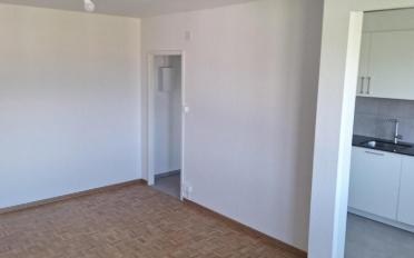 Wohnung 5 Zimmer - image - 4