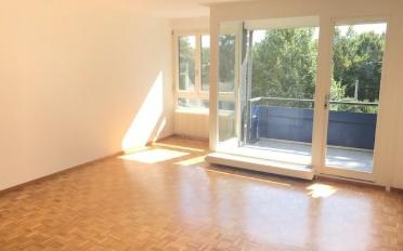 Wohnung 3.5 Zimmer - image - 5