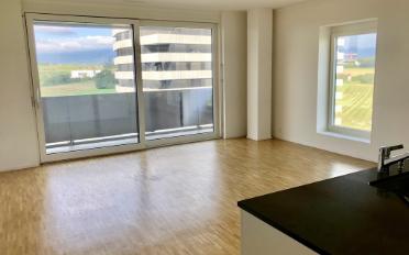 Wohnung 5 Zimmer - image - 3