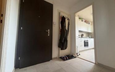 Apartment 2.5 rooms - image - 5