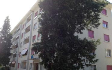Wohnung 2 Zimmer - image - 2