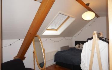 Einfamilienhaus - image - 12
