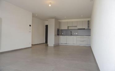 Wohnung 3.5 Zimmer - image - 1