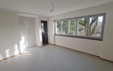 Villa 10 Zimmer - image - 13