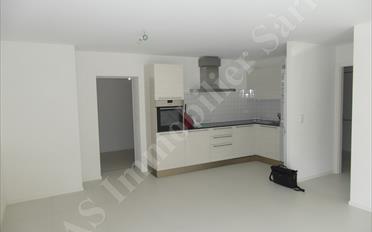 Terrace flat 2.5 rooms - image - 3