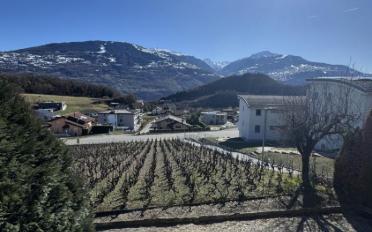 Villa 5.5 pièces - image - 7