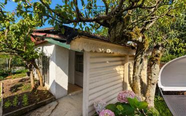 Single house 2.5 rooms - image - 9