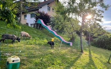 Duplex 6.5 pièces - image - 9