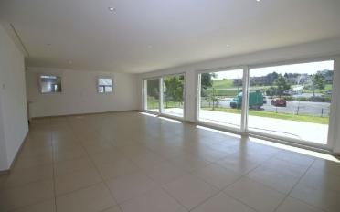 Doppeleinfamilienhaus 6.5 Zimmer - image - 2