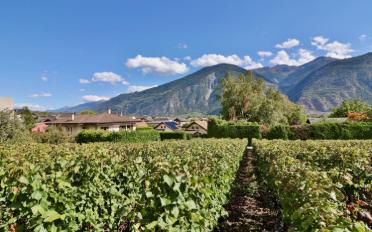 Apartment 4.5 rooms - image - 11