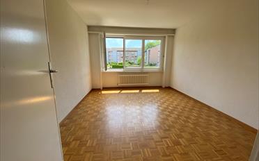 Wohnung 3 Zimmer - image - 7