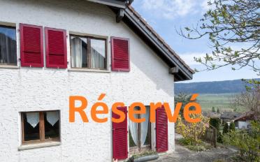 Doppeleinfamilienhaus 6.5 Zimmer - image - 1
