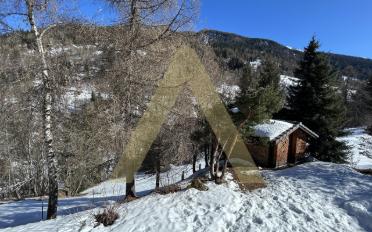 Chalet 2 rooms - image - 10