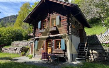 Chalet 2 Zimmer - image - 1