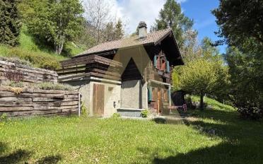 Chalet 2 Zimmer - image - 10