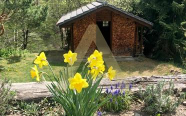 Chalet 2 Zimmer - image - 12