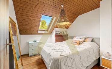 Single house 7 rooms - image - 7