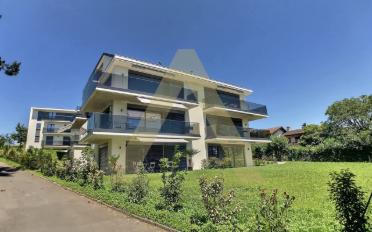 Wohnung 2.5 Zimmer - image - 1