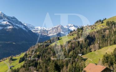 Chalet 6.5 Zimmer - image - 4