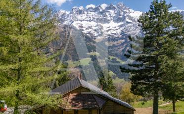 Chalet 6.5 Zimmer - image - 3