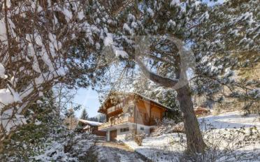 Chalet 5.5 rooms - image - 9