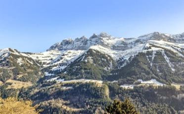 Chalet 9 Zimmer - image - 11