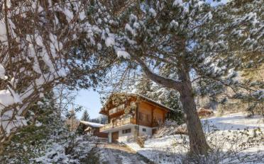 Chalet 5.5 rooms - image - 7