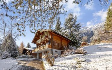 Chalet 5.5 rooms - image - 8
