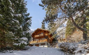 Chalet 5.5 rooms - image - 12