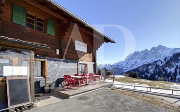 Chalet 11 Zimmer - image - 2