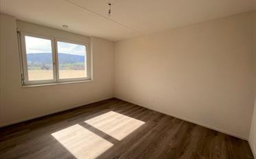 Wohnung 2.5 Zimmer - image - 5