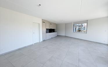 Wohnung 2.5 Zimmer - image - 5