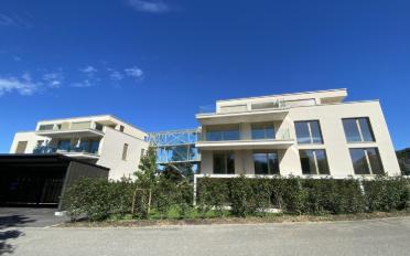 Wohnung 3.5 Zimmer - image - 1