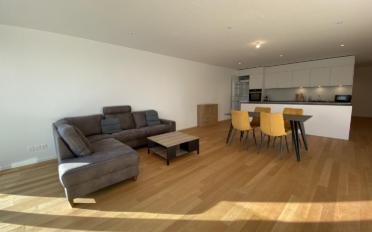 Wohnung 4.5 Zimmer - image - 8