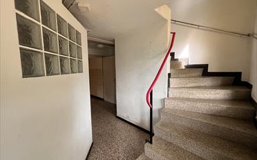 Maison 5.5 pièces - image - 3