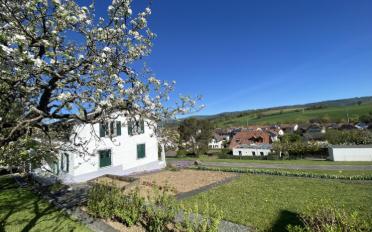 Einfamilienhaus - image - 3