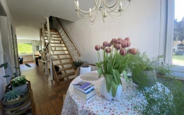 Maison terrasse - image - 10