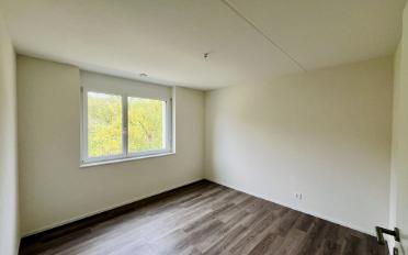 Appartement 4.5 pièces - image - 9